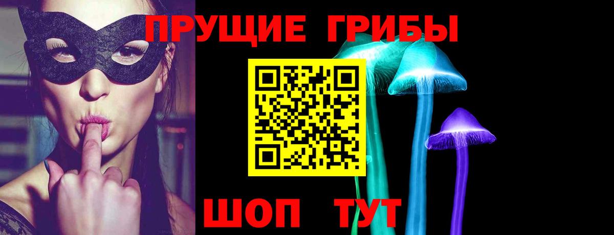 Заволжье  Псилоцибиновые грибы мицелий  Вход с VPN  Псилоцибиновые грибы Magic Shrooms 